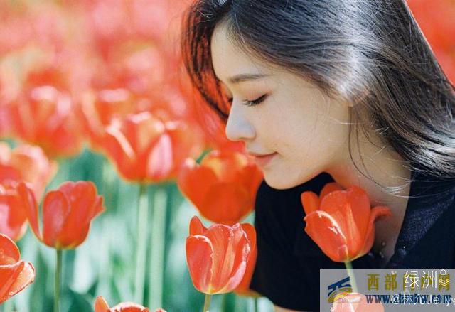 林允置身花海拍美照 對鏡托腮發(fā)絲飛揚(圖5) 林允置身花海拍美照 對鏡托腮發(fā)絲飛揚(圖5)