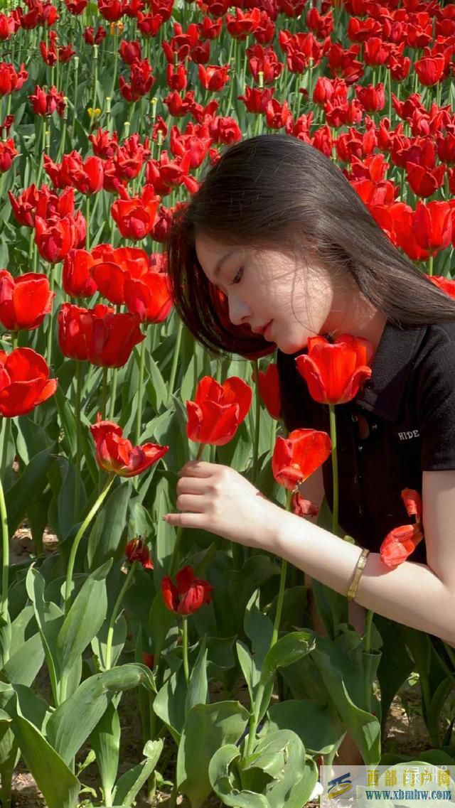 林允置身花海拍美照 對鏡托腮發(fā)絲飛揚(圖6) 林允置身花海拍美照 對鏡托腮發(fā)絲飛揚(圖6)