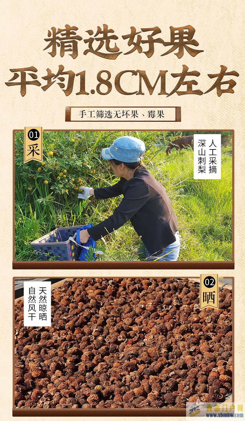 貴州特產：維C之王刺梨