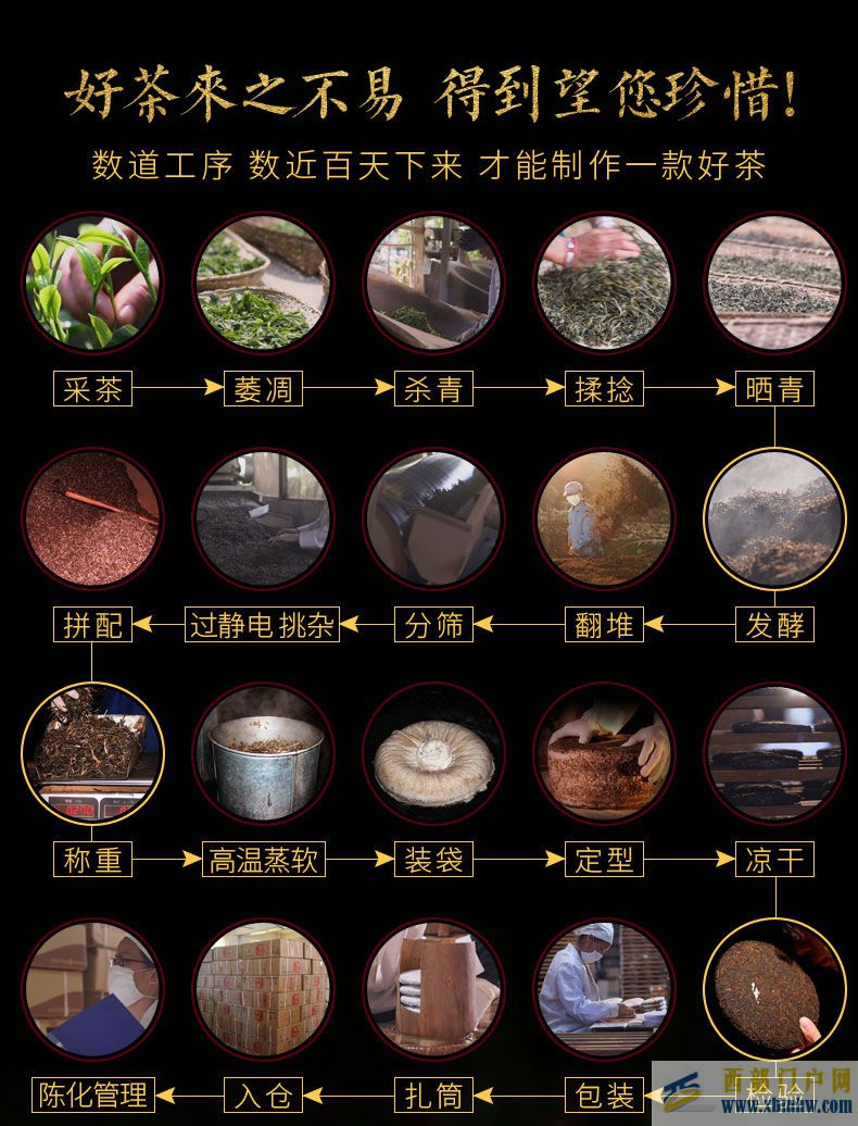 云南特產(chǎn):普洱茶(圖10) 云南特產(chǎn):普洱茶(圖10)
