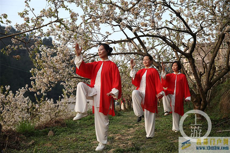重慶黔江：“拳”動櫻桃花(圖3)