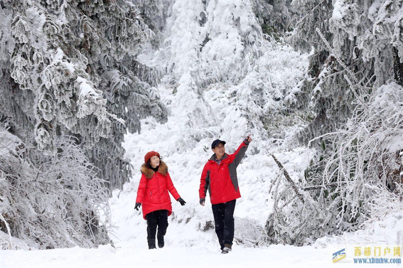 重慶黔江：高山春雪醉游客(圖3)