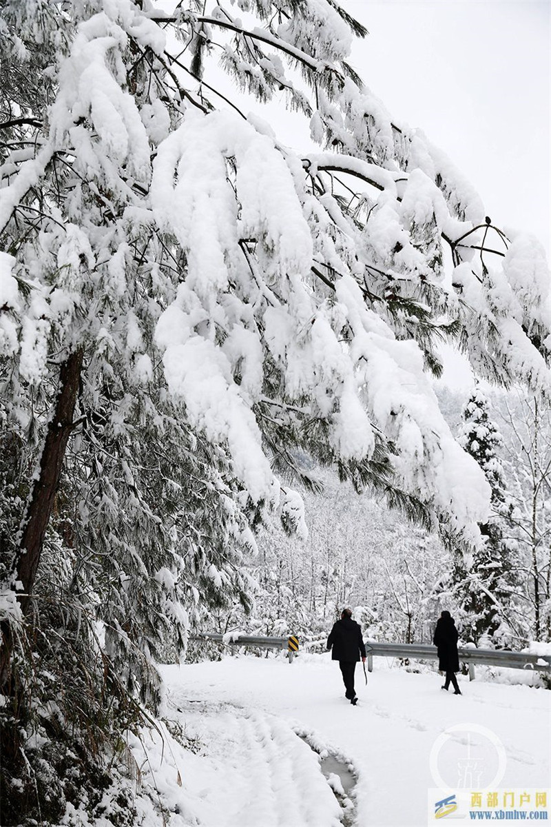 重慶黔江：上班第一天進(jìn)雪山(圖4)