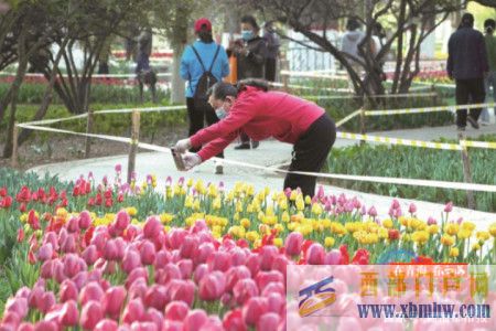 @西寧人這份游園攻略請收好(圖1) @西寧人這份游園攻略請收好(圖1)