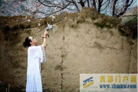 56首賞杏花詩詞絳珠仙子來墻外,紅杏焉能不出墻(圖1) 56首賞杏花詩詞絳珠仙子來墻外,紅杏焉能不出墻(圖1)