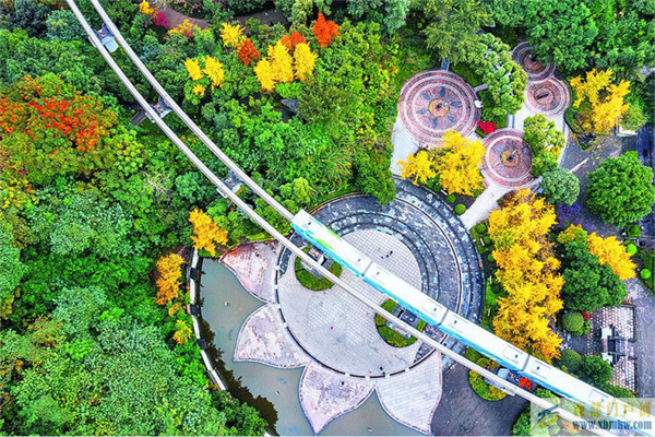 大渡口打造生態宜居公園城市(圖1) 大渡口打造生態宜居公園城市(圖1)