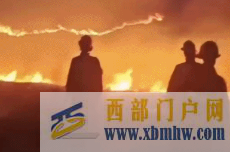 固原林場明火已全部撲滅(圖1)
