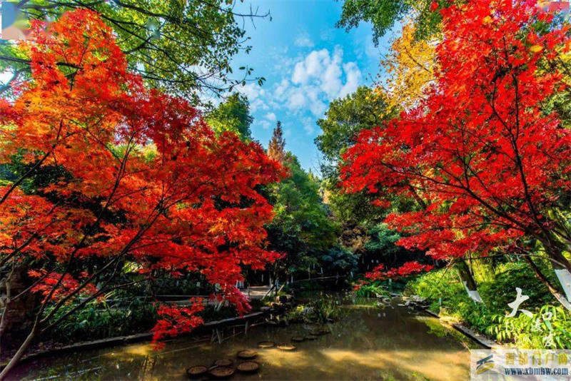 公園大渡口多彩藝術灣！橫看豎看，大渡口就是這么好看(圖1)