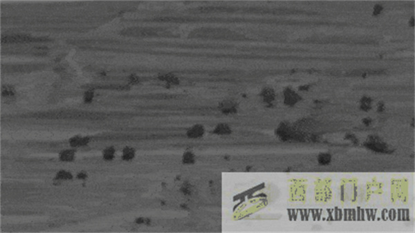 通過視頻了解固原綠色之變(圖2)
