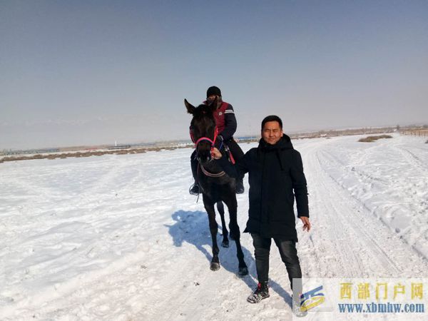 博爾塔拉一牧民捐通城11匹馬:援建我們的湖北親人有難了(圖1) 博爾塔拉一牧民捐通城11匹馬:援建我們的湖北親人有難了(圖1)