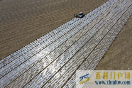 一年之計(jì)在于春機(jī)器奔馳科技助力!新疆3700萬畝棉花全面開播(圖1) 一年之計(jì)在于春機(jī)器奔馳科技助力!新疆3700萬畝棉花全面開播(圖1)