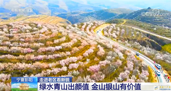 【走進(jìn)老區(qū)看新貌】寧夏彭陽(yáng):綠水青山出顏值金山銀山有價(jià)值(圖1) 【走進(jìn)老區(qū)看新貌】寧夏彭陽(yáng):綠水青山出顏值金山銀山有價(jià)值(圖1)