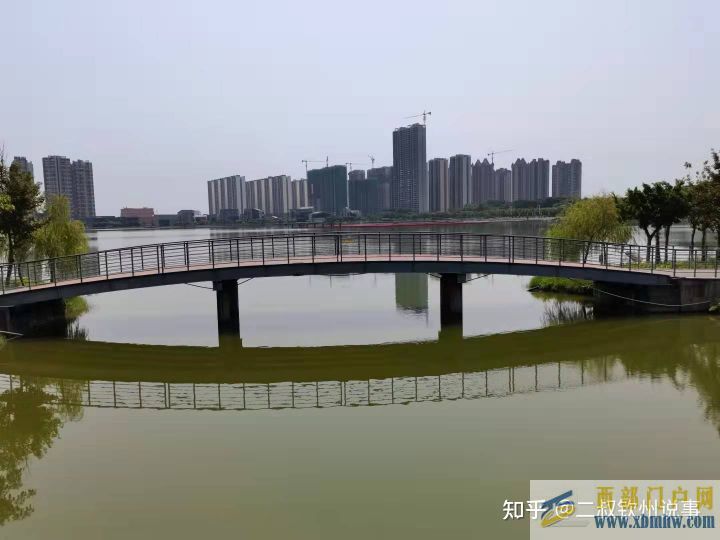 欽州,江海宜居城之志氣、骨氣、底氣(圖4) 欽州,江海宜居城之志氣、骨氣、底氣(圖4)