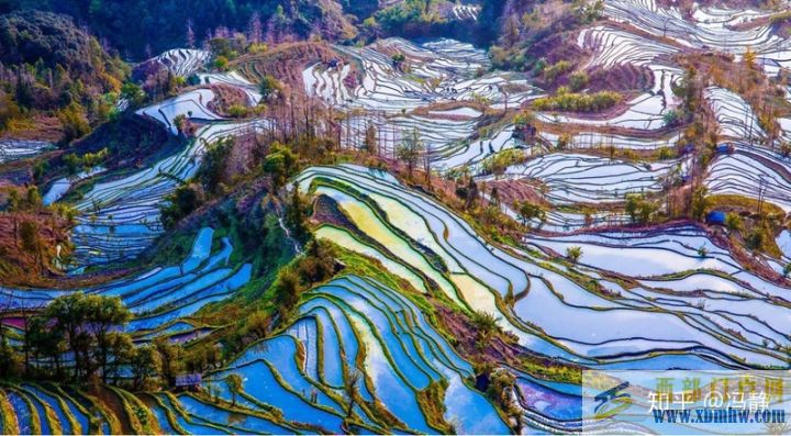 紅河梯田世界文化遺產(chǎn)延續(xù)千年之謎(圖6) 紅河梯田世界文化遺產(chǎn)延續(xù)千年之謎(圖6)