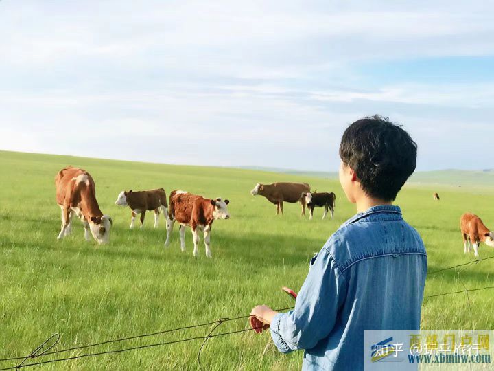 想去錫林郭勒草原不知道怎么玩(圖9) 想去錫林郭勒草原不知道怎么玩(圖9)