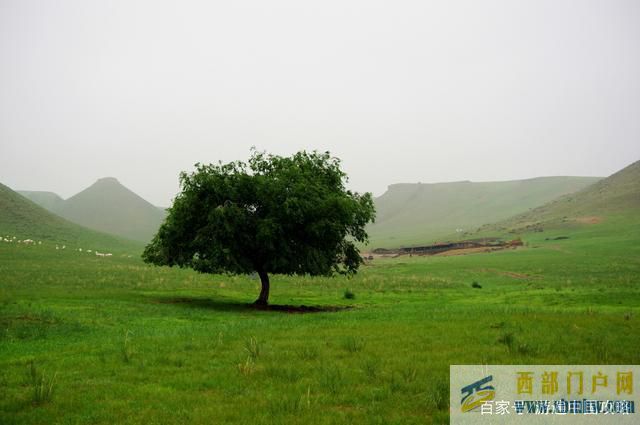 錫林郭勒旅游景點——游遍中國(圖5) 錫林郭勒旅游景點——游遍中國(圖5)