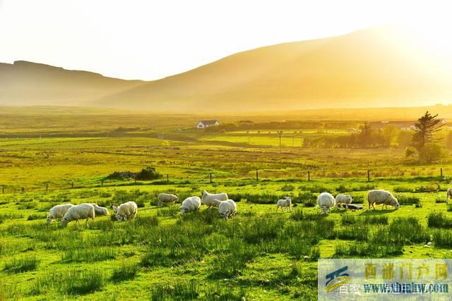 錫林郭勒旅游景點——游遍中國(圖10) 錫林郭勒旅游景點——游遍中國(圖10)