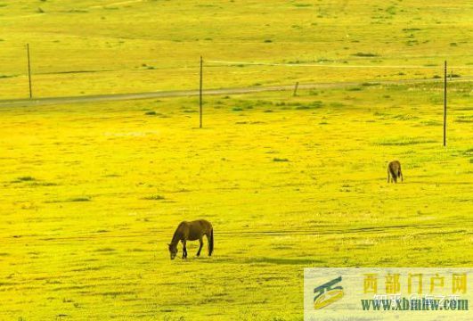 內蒙古烏蘭察布旅游攻略(圖3) 內蒙古烏蘭察布旅游攻略(圖3)