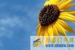 黔東南石油分公司戰疫情保供應(圖1) 黔東南石油分公司戰疫情保供應(圖1)
