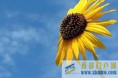 黔東南石油分公司開展節前幫扶(圖1) 黔東南石油分公司開展節前幫扶(圖1)