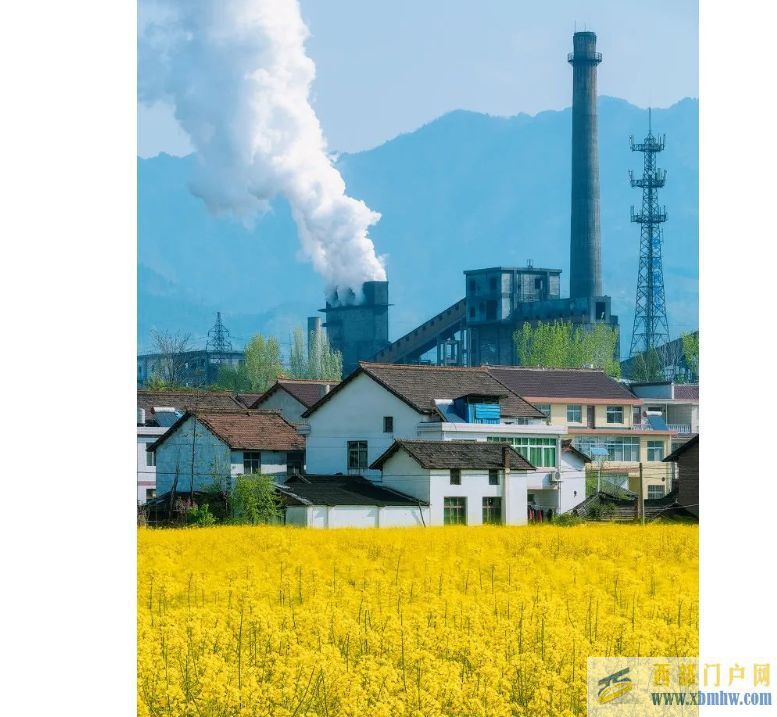 漢中油菜花觀賞指南(圖1) 漢中油菜花觀賞指南(圖1)