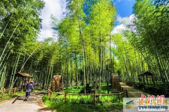 探訪“中國長壽之鄉”福建柘榮的“長壽密碼”(圖3)