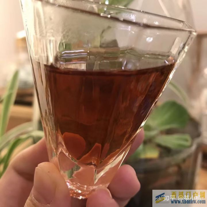 什么是普洱茶普洱茶有什么功效(圖4) 什么是普洱茶普洱茶有什么功效(圖4)