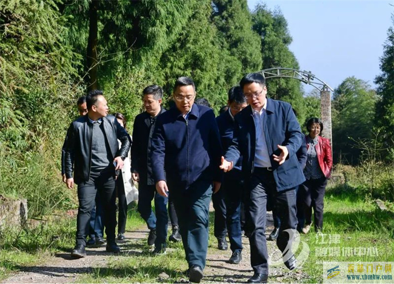 江津區委書記李應蘭:江津硒玉礦產資源很有價值(圖1) 江津區委書記李應蘭:江津硒玉礦產資源很有價值(圖1)