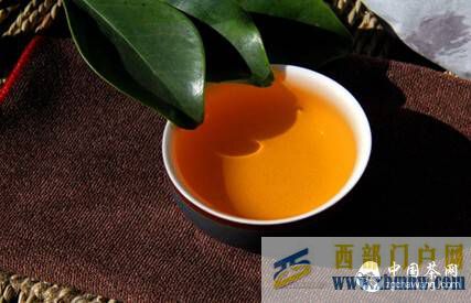 傳統普洱茶VS現代普洱茶，有哪些不同呢？(圖3)