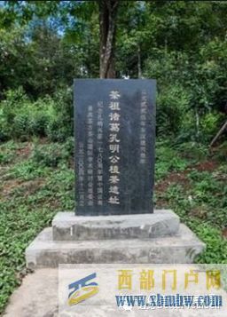 什么是普洱茶它的歷史由來(lái)及定義(圖3) 什么是普洱茶它的歷史由來(lái)及定義(圖3)
