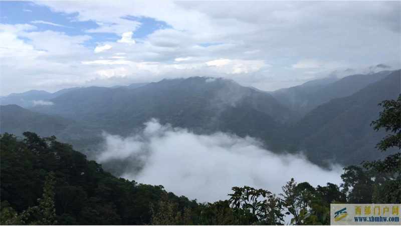 普洱就夠香了,陳放6年出棗香的布朗山普洱該有多香(圖8) 普洱就夠香了,陳放6年出棗香的布朗山普洱該有多香(圖8)