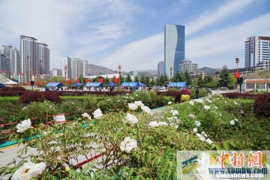 青海西寧開展區域核酸檢測(圖1) 青海西寧開展區域核酸檢測(圖1)