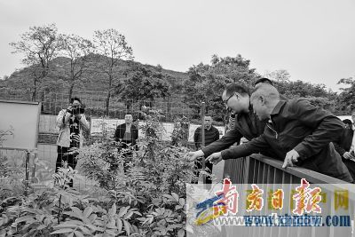 惠州牽手貴州黔西南做好東西部協作(圖1) 惠州牽手貴州黔西南做好東西部協作(圖1)