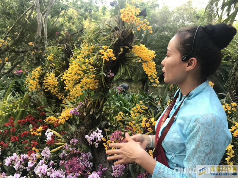 走進中國科學院西雙版納熱帶植物園(圖1) 走進中國科學院西雙版納熱帶植物園(圖1)