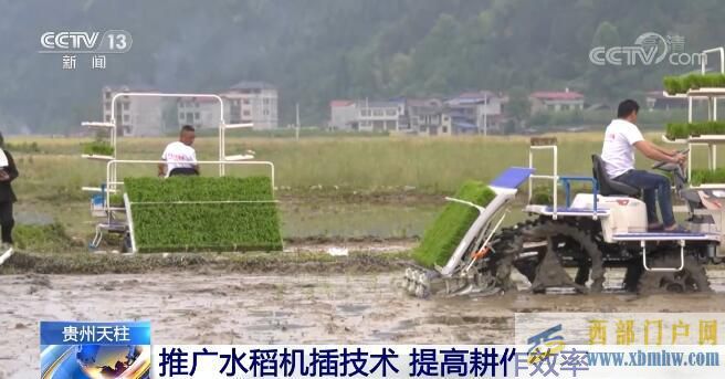 貴州天柱縣推廣水稻全程機械化技術提高耕作效率(圖1) 貴州天柱縣推廣水稻全程機械化技術提高耕作效率(圖1)