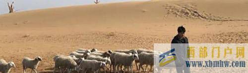 電影烏海為什么叫烏海？電影烏海還有什么其他含義？(圖1)