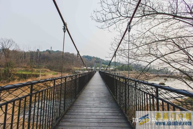 廣西“最窮”的城市,GDP省內倒數第一,不是來賓也...(圖14) 廣西“最窮”的城市,GDP省內倒數第一,不是來賓也...(圖14)
