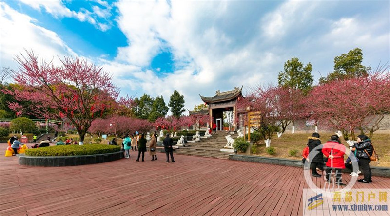 重慶南川:春意盎然熱鬧非凡(圖1) 重慶南川:春意盎然熱鬧非凡(圖1)