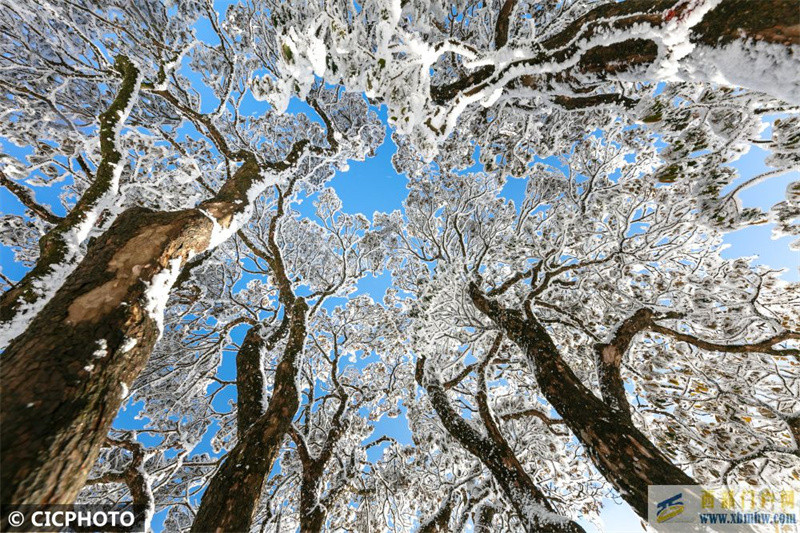 重慶南川:瑞雪金佛山(圖1) 重慶南川:瑞雪金佛山(圖1)