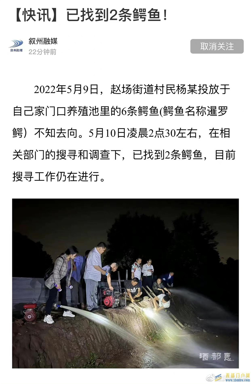 四川宜賓6條鱷魚失蹤后續:已尋獲2條(圖1) 四川宜賓6條鱷魚失蹤后續:已尋獲2條(圖1)