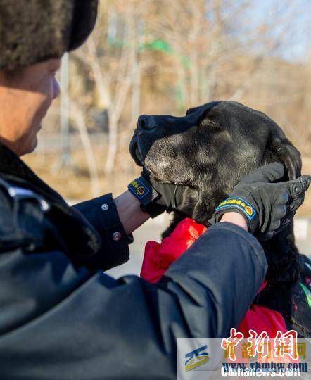 內(nèi)蒙古二連浩特為警犬舉行退役儀式(圖1)