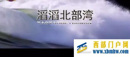 北海為何成為傳銷老窩看完這篇就懂了(圖6)