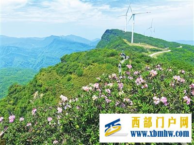 武隆旅游:趙云山上杜鵑花開(圖1) 武隆旅游:趙云山上杜鵑花開(圖1)