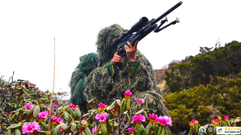穿密林、過濕地……西藏軍區某旅偵察分隊野外開展穿插滲透演練(圖1)