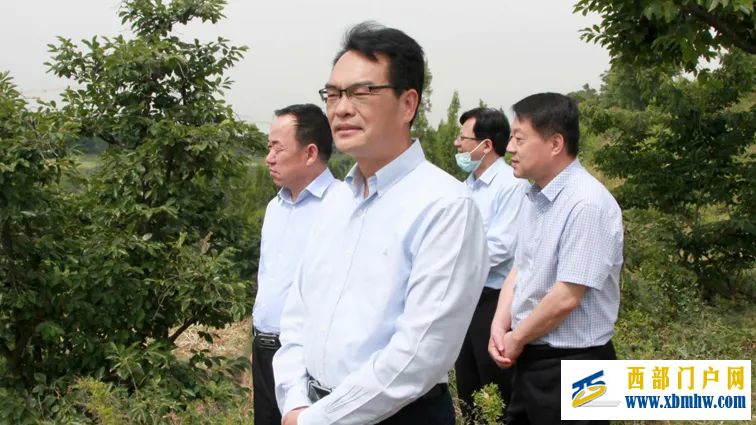 黨雙忍：加快推進深綠渭南、美麗渭南建設(圖1)