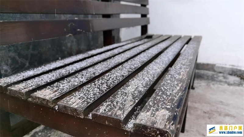 罕見,攀枝花主城區下了“頭皮雪”(圖1) 罕見,攀枝花主城區下了“頭皮雪”(圖1)