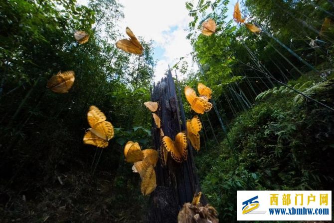 【國際生物多樣性日】中國·紅河蝴蝶谷即將迎來蝴蝶大爆發(圖1) 【國際生物多樣性日】中國·紅河蝴蝶谷即將迎來蝴蝶大爆發(圖1)