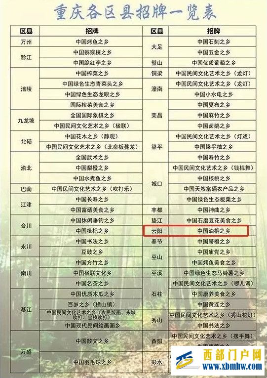 油桐，你所不知道的云陽“招牌”(圖3)