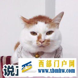 內(nèi)蒙古很美,但也不要忘記這些(圖3) 內(nèi)蒙古很美,但也不要忘記這些(圖3)