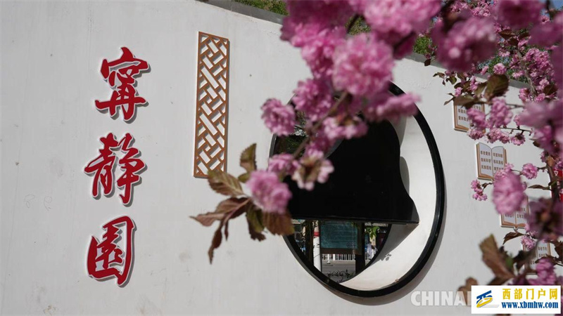 寧夏興慶區老舊小區改出“新”生活(圖1) 寧夏興慶區老舊小區改出“新”生活(圖1)